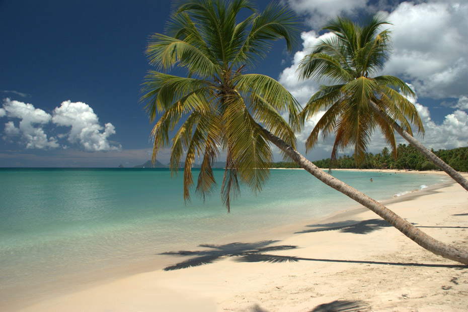 Photo Grande Anse des Salines © Fabien RC