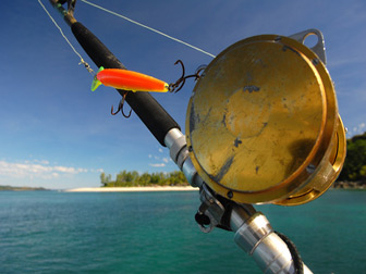 Sortie pêche au gros