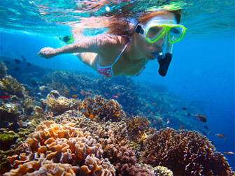 Le snorkeling, profitez des fonds marins avec un simple masque et tuba