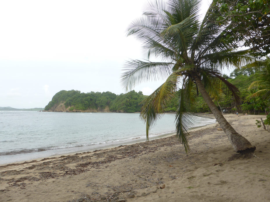 Photo Anse Azerot © Guidemartinique.com