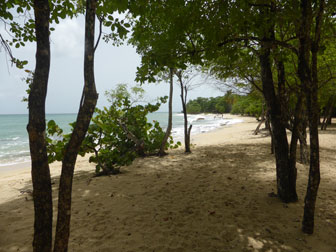 Photo Anse Desert