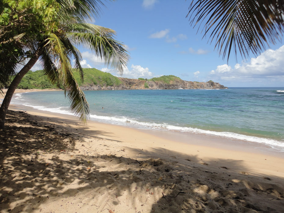 Photo Anse l'Etang © Guidemartinique.com