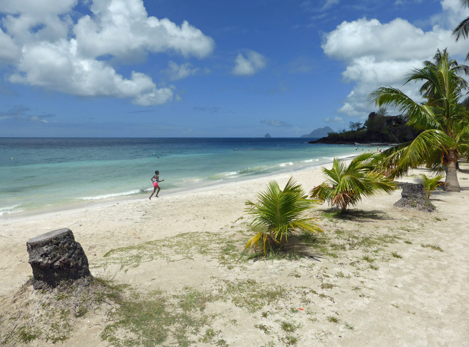 Photo Anse Figuier © Guidemartinique.com