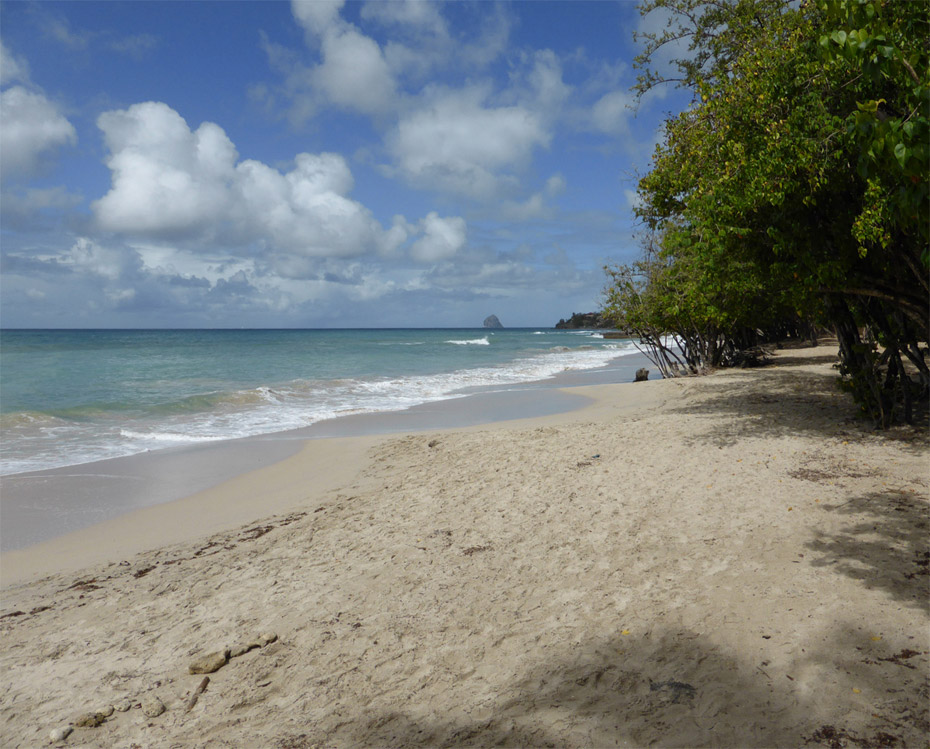 Photo Anse Fond Banane © Guidemartinique.com