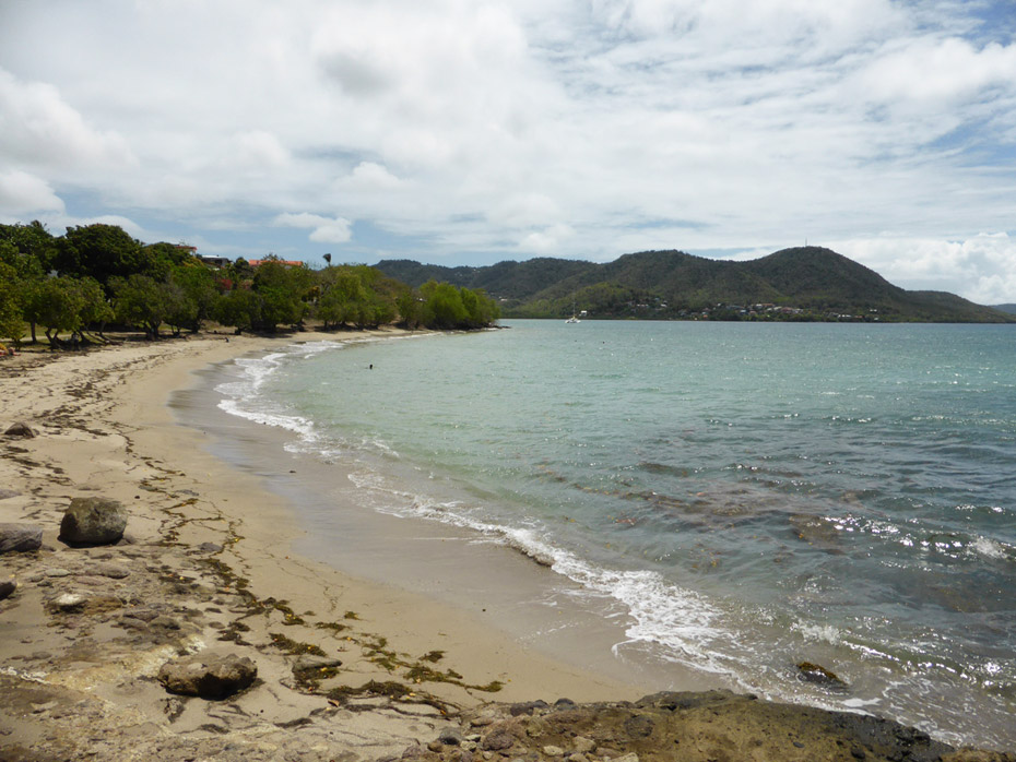 Photo Anse Gros Raisin © Guidemartinique.com