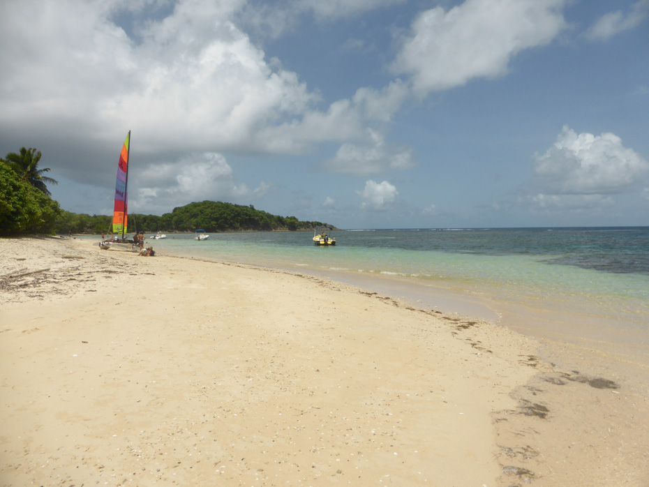 Photo Anse Gros Raisin Caravelle © Guidemartinique.com