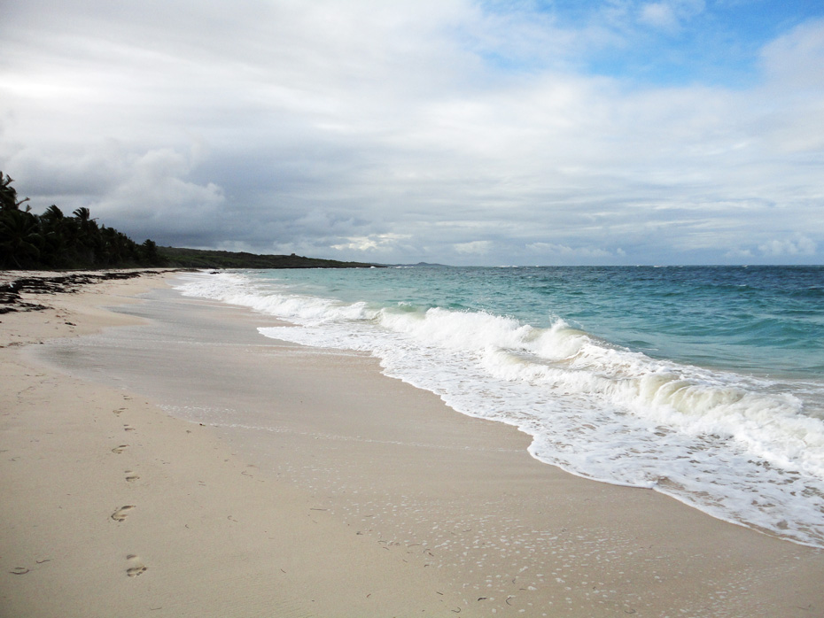 Photo Anse Grosse Roche © Guidemartinique.com