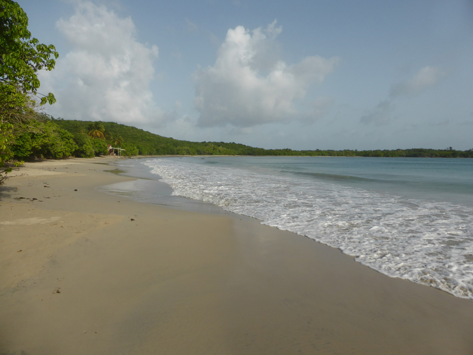 Photo Anse Meunier © Guidemartinique.com