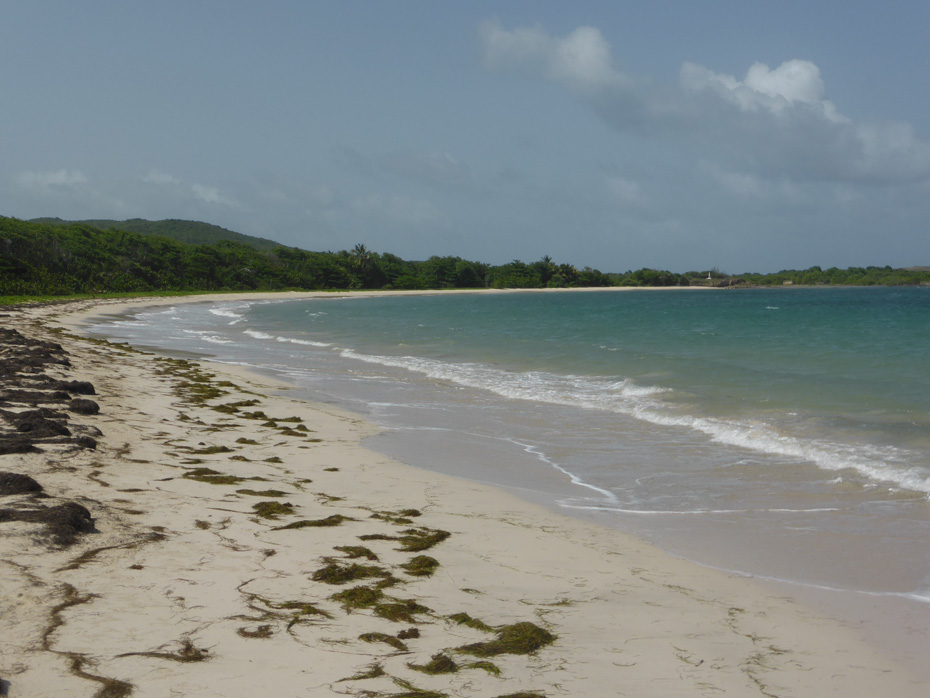 Photo Anse à Prunes © Guidemartinique.com