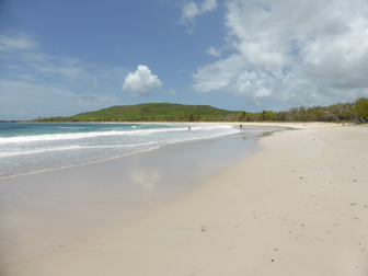 Photo de la plage de l'Anse Trabaud