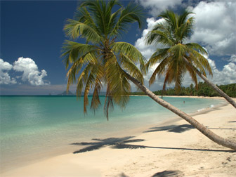 Photo Grande Anse des Salines