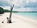 Petite Anse des Salines