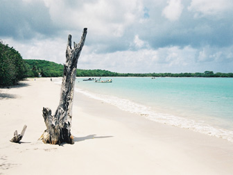 Photo Petite Anse des Salines