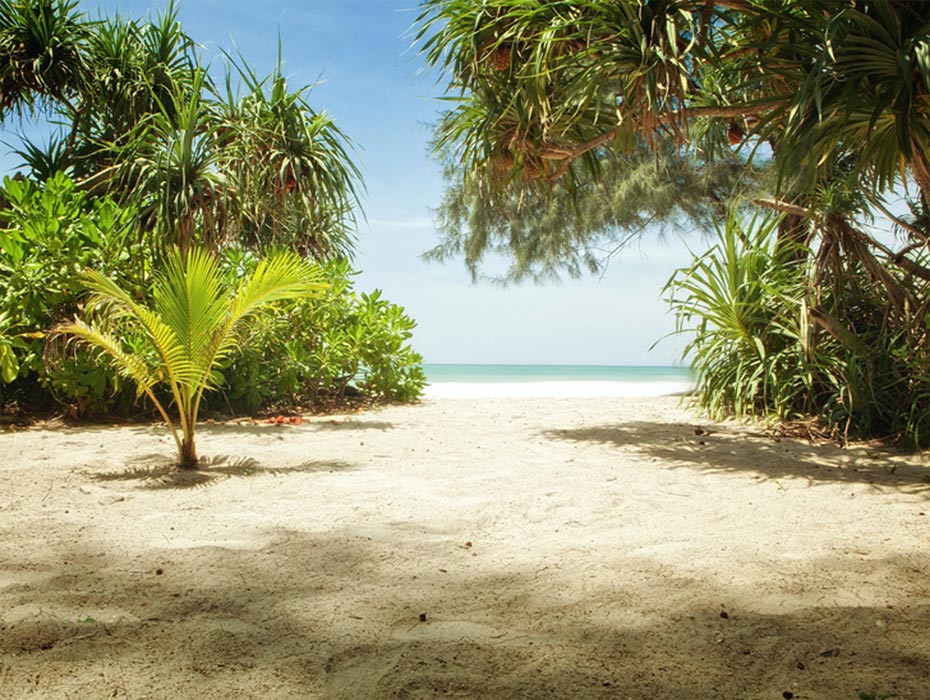 Photo Plage de l'Autre Bord © Guidemartinique.com