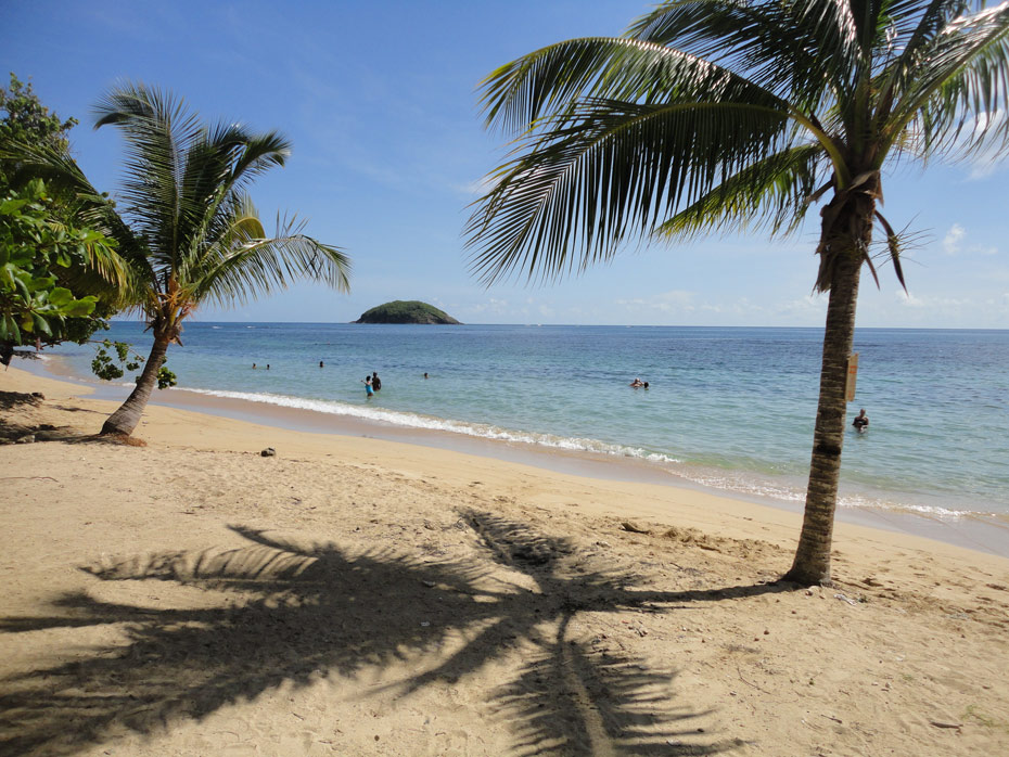 Photo Plage de Cosmy © Guidemartinique.com