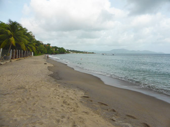 Photo Plage du Lido - Anse Collat