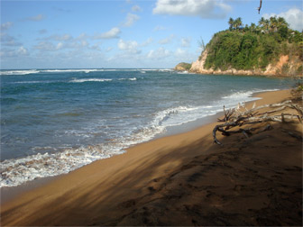 Photo Plage de la Pointe Rouge