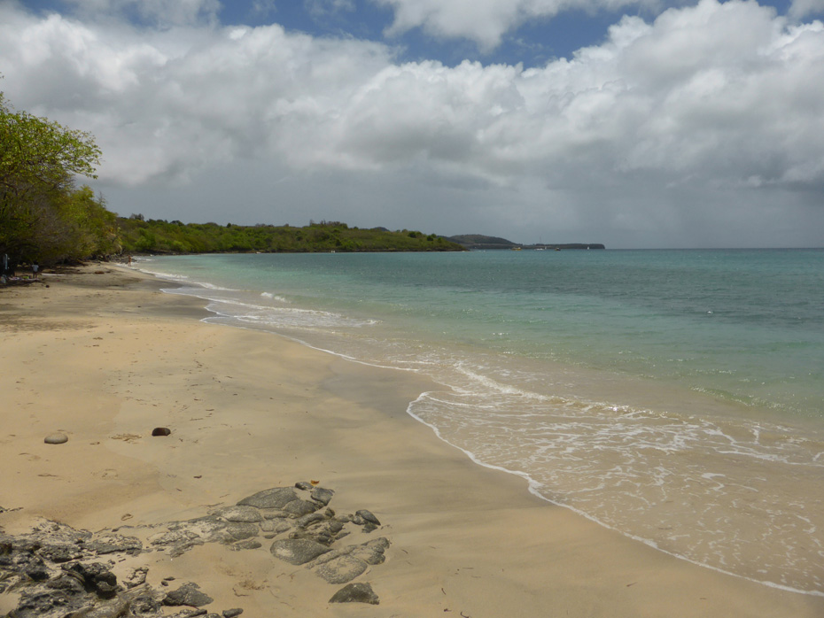 Photo Pointe Borgnèse © Guidemartinique.com