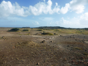 Photo Savane des Pétrifications - Guidemartinique.com