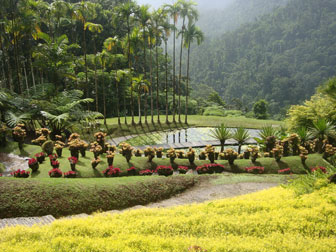 jardin botanique de balata