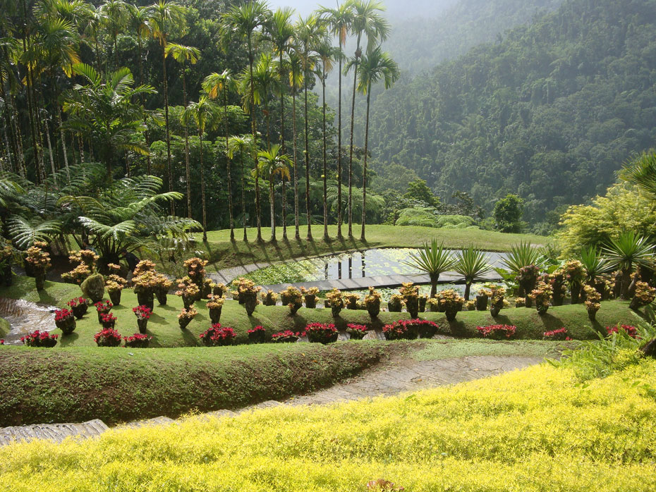 Photo Jardin de Balata © Guidemartinique.com